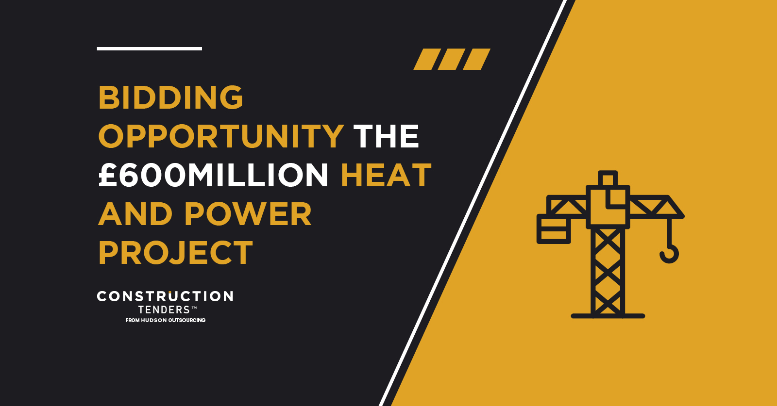 The North London Heat and Power Project